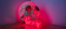Load image into Gallery viewer, SKULL LAMP-put together by me