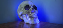 Load image into Gallery viewer, SKULL LAMP-put together by me