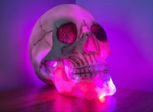 Load image into Gallery viewer, SKULL LAMP-put together by me