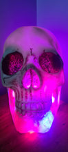 Load image into Gallery viewer, SKULL LAMP-put together by me