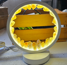 Load image into Gallery viewer, STUNNING NEW LED CRYSTAL LAMPS