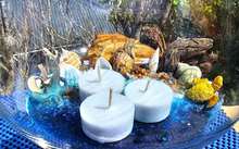 Load image into Gallery viewer, LARGE FEATURE BEACHY SCENE CANDLE HOLDER