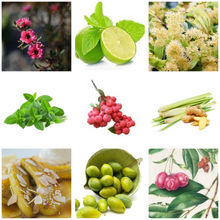 Load image into Gallery viewer, CANDLE & BODY FRAGRANCE OILS CLEAROUT
