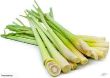 Load image into Gallery viewer, 40% off PURE THERAPEUTIC ESSENTIAL OILS