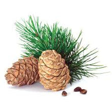 Load image into Gallery viewer, 40% off PURE THERAPEUTIC ESSENTIAL OILS