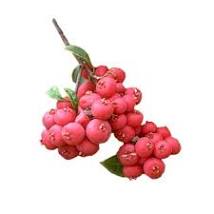 Load image into Gallery viewer, CANDLE & BODY FRAGRANCE OILS CLEAROUT