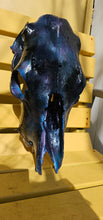 Load image into Gallery viewer, Large genuine cow skull backlit & painted with black/chameleon resin by me