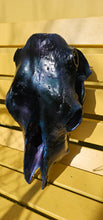 Load image into Gallery viewer, Large genuine cow skull backlit & painted with black/chameleon resin by me
