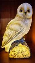 Load image into Gallery viewer, INCREDIBLE OWL LAMP