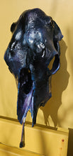 Load image into Gallery viewer, Large genuine cow skull backlit & painted with black/chameleon resin by me