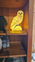 Load image into Gallery viewer, INCREDIBLE OWL LAMP