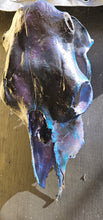 Load image into Gallery viewer, Large genuine cow skull backlit & painted with black/chameleon resin by me