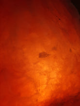 Load image into Gallery viewer, NEW 12W REPLACEMENT BULB( can only be used with 12v cable)