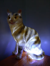 Load image into Gallery viewer, Sale💥MYSTICAL STANDING FELINE LAMP-unique Made by me