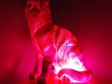 Load image into Gallery viewer, Sale💥MYSTICAL STANDING FELINE LAMP-unique Made by me