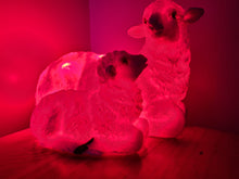 Load image into Gallery viewer, Sale💥UNIQUE EWE & LAMB LAMP-made by me