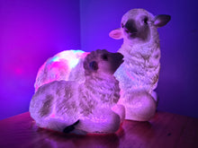 Load image into Gallery viewer, Sale💥UNIQUE EWE & LAMB LAMP-made by me