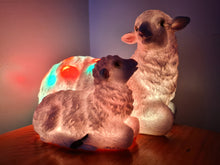 Load image into Gallery viewer, Sale💥UNIQUE EWE & LAMB LAMP-made by me