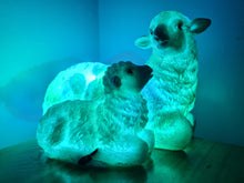 Load image into Gallery viewer, Sale💥UNIQUE EWE & LAMB LAMP-made by me