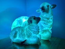 Load image into Gallery viewer, Sale💥UNIQUE EWE & LAMB LAMP-made by me