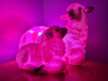 Load image into Gallery viewer, Sale💥UNIQUE EWE & LAMB LAMP-made by me