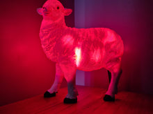 Load image into Gallery viewer, Saleš„SHEEP LAMP-made by me
