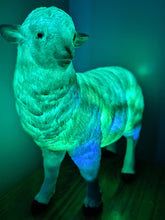 Load image into Gallery viewer, Saleš„SHEEP LAMP-made by me