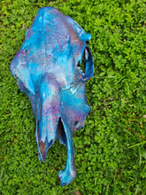 Load image into Gallery viewer, COSTš„GENUINE COW SKULL -backlit lighting ,painted with chameleon resin by me