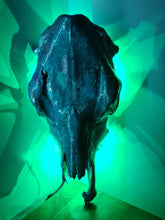 Load image into Gallery viewer, COSTš„GENUINE COW SKULL -backlit lighting ,painted with chameleon resin by me