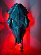 Load image into Gallery viewer, COSTš„GENUINE COW SKULL -backlit lighting ,painted with chameleon resin by me