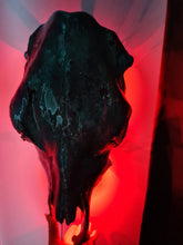 Load image into Gallery viewer, COSTš„GENUINE COW SKULL -backlit lighting ,painted with chameleon resin by me