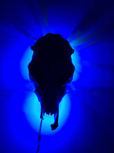 Load image into Gallery viewer, COSTš„GENUINE COW SKULL -backlit lighting ,painted with chameleon resin by me