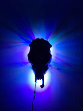 Load image into Gallery viewer, COSTš„GENUINE COW SKULL -backlit lighting ,painted with chameleon resin by me