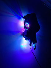 Load image into Gallery viewer, COSTš„GENUINE COW SKULL -backlit lighting ,painted with chameleon resin by me