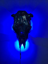 Load image into Gallery viewer, Large genuine cow skull backlit & painted with black/chameleon resin by me