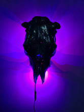 Load image into Gallery viewer, Large genuine cow skull backlit & painted with black/chameleon resin by me