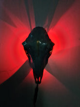 Load image into Gallery viewer, Saleš„Genuine sheep skull backlit with resin painted by me also glows purple in the dark
