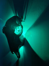 Load image into Gallery viewer, Saleš„Genuine sheep skull backlit with resin painted by me also glows purple in the dark
