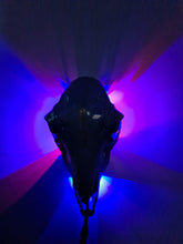Load image into Gallery viewer, Saleš„Genuine sheep skull backlit with resin painted by me also glows purple in the dark