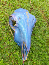 Load image into Gallery viewer, Saleš„Genuine sheep skull backlit with resin painted by me also glows purple in the dark
