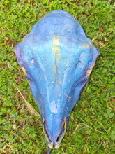 Load image into Gallery viewer, Saleš„Genuine sheep skull backlit with resin painted by me also glows purple in the dark