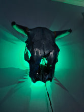 Load image into Gallery viewer, 1 of a kind 3/4 genuine bull skull with horns hand painted painted by me