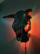 Load image into Gallery viewer, 1 of a kind 3/4 genuine bull skull with horns hand painted painted by me
