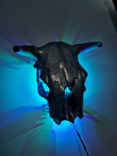 Load image into Gallery viewer, 1 of a kind 3/4 genuine bull skull with horns hand painted painted by me