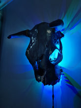 Load image into Gallery viewer, 1 of a kind 3/4 genuine bull skull with horns hand painted painted by me