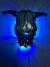 Load image into Gallery viewer, 1 of a kind 3/4 genuine bull skull with horns hand painted painted by me