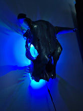 Load image into Gallery viewer, 1 of a kind 3/4 genuine bull skull with horns hand painted painted by me