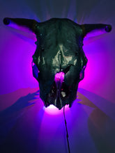 Load image into Gallery viewer, 1 of a kind 3/4 genuine bull skull with horns hand painted painted by me