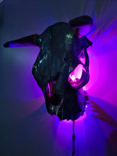 Load image into Gallery viewer, 1 of a kind 3/4 genuine bull skull with horns hand painted painted by me