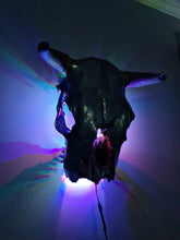 Load image into Gallery viewer, 1 of a kind 3/4 genuine bull skull with horns hand painted painted by me
